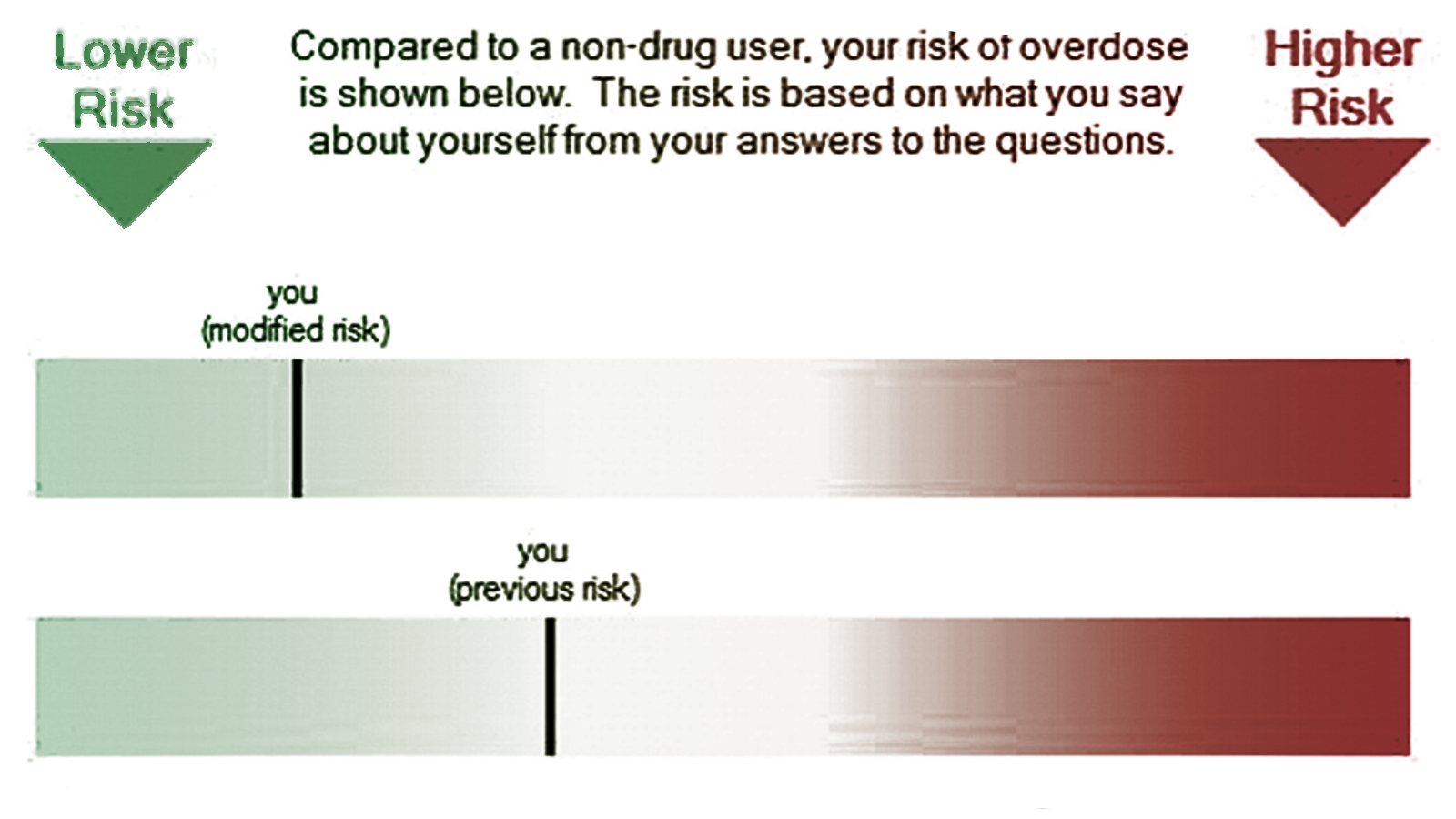 Overdose RIsk InfOrmatioN (ORION): an innovative e-health psychoeducational tool