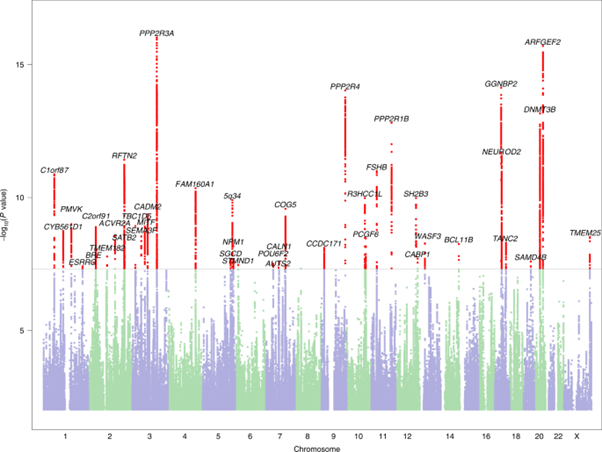 Manhattan plot of the genome-wide association analysis of dyslexia.