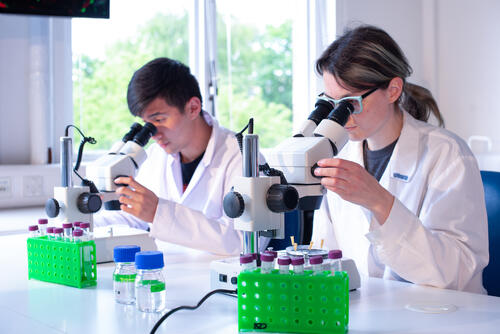 Students taking part in lab at the School of Psychology and Neur students with microscope