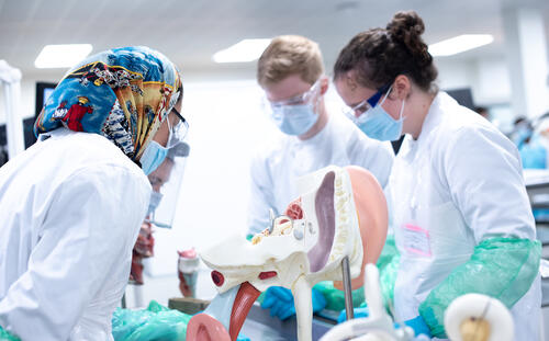 In-person teaching at the University of St Andrews during the Co students in dissection lab