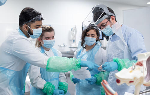 In-person teaching at the University of St Andrews during the Co students in dissection lab