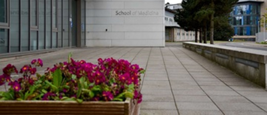 School of Medicine building with large windows and a wooden deck, bordered by a glass railing. A tree stands near the building under a clear blue sky
